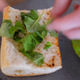 Illustration for article titled A Self-Sustaining Indoor Garden System Made Me a Summer Fresh Sandwich